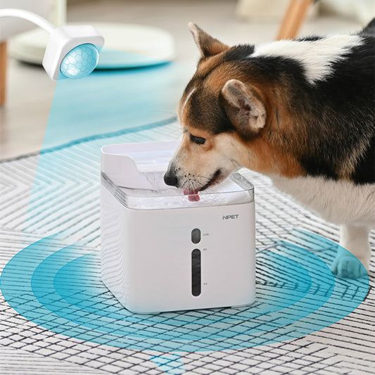 Pet Mobile Water Drinking Product