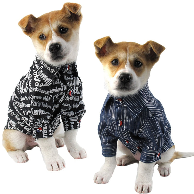 Printed denim for pets