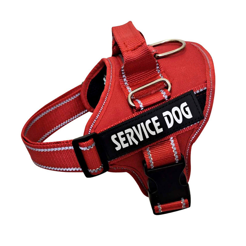 Personalization Of Pet Chest Strap Products