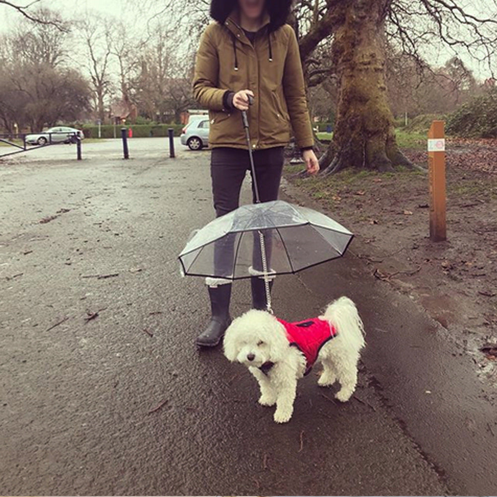 Transparent Pet Dog Umbrella