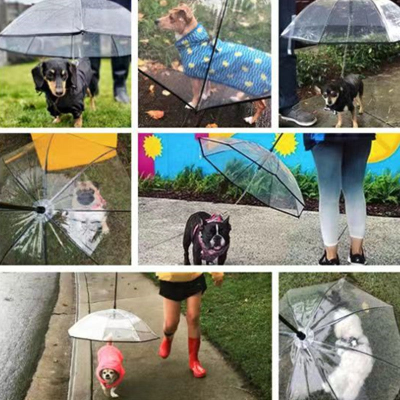 Pet Products Of Transparent Pet Umbrella Dog Umbrella Dog Traction Rope